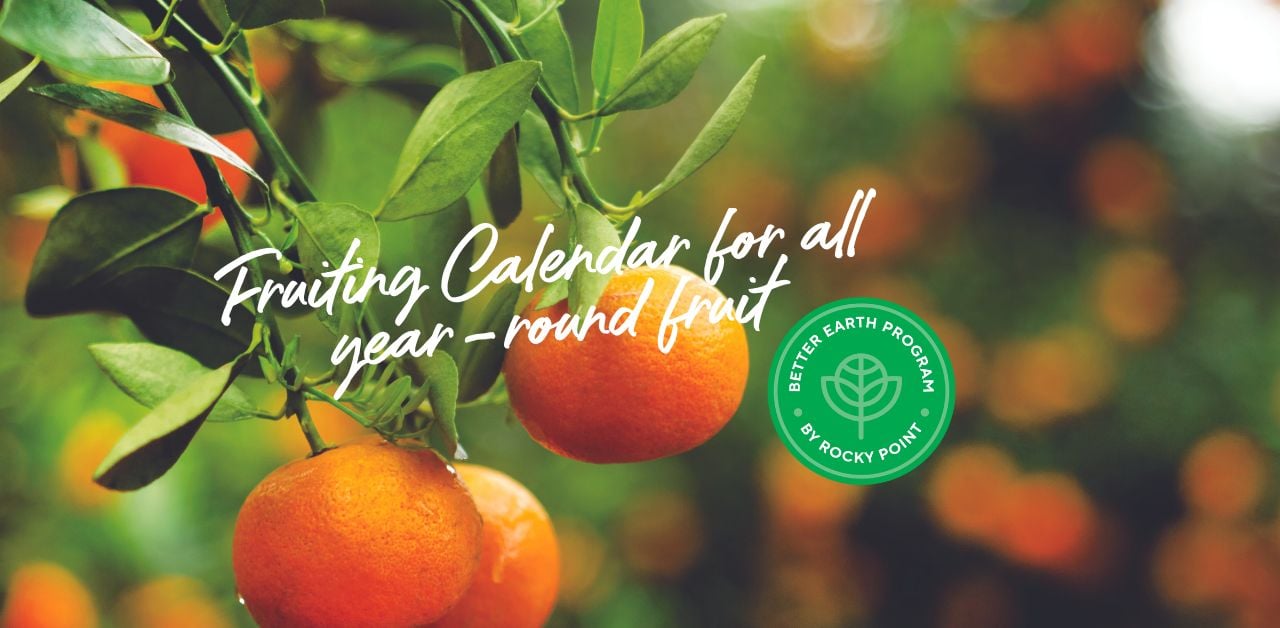 Fruiting Calendar for all yearround fruit